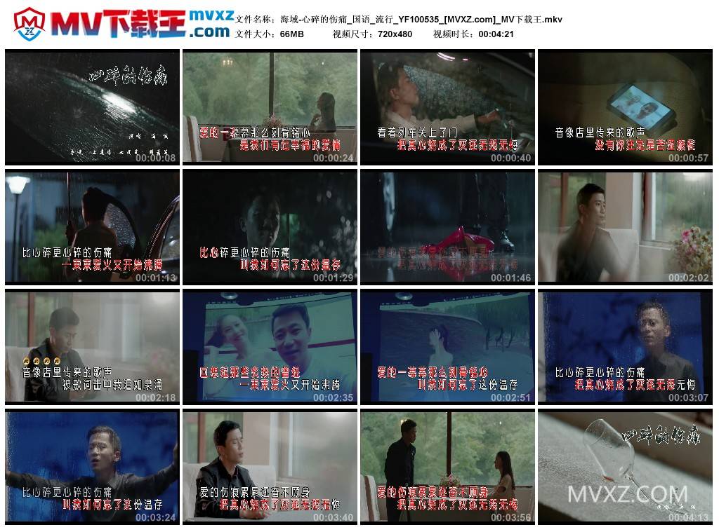 海域-心碎的伤痛_国语_流行_YF100535